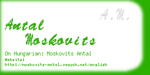 antal moskovits business card